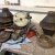 MAICO-RESTAURATION